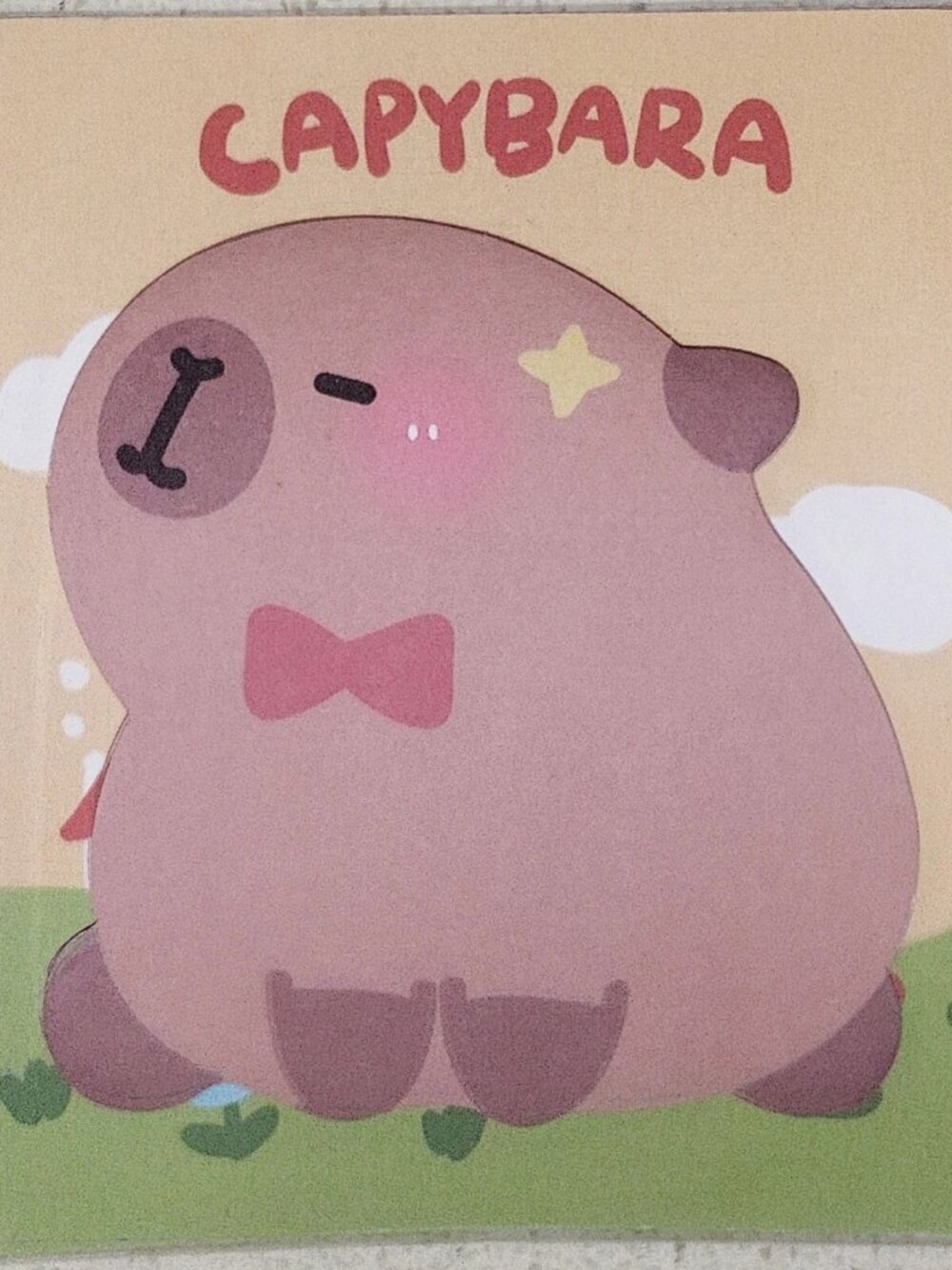 Shy Blushing Capybara mini sticky note memo pad set